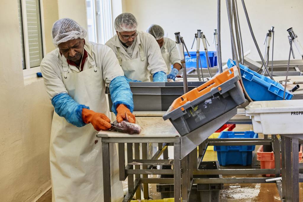 Transformation des Produits de la Mer